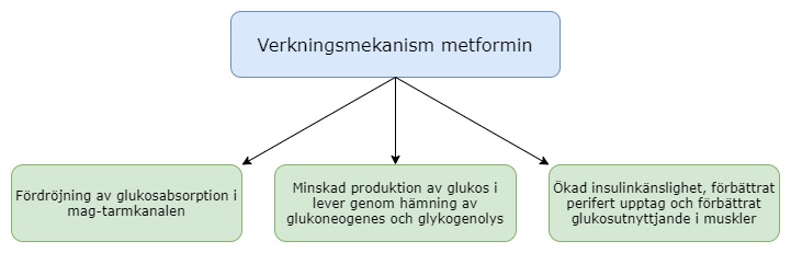 Diabetes, typ 2 - Medibas